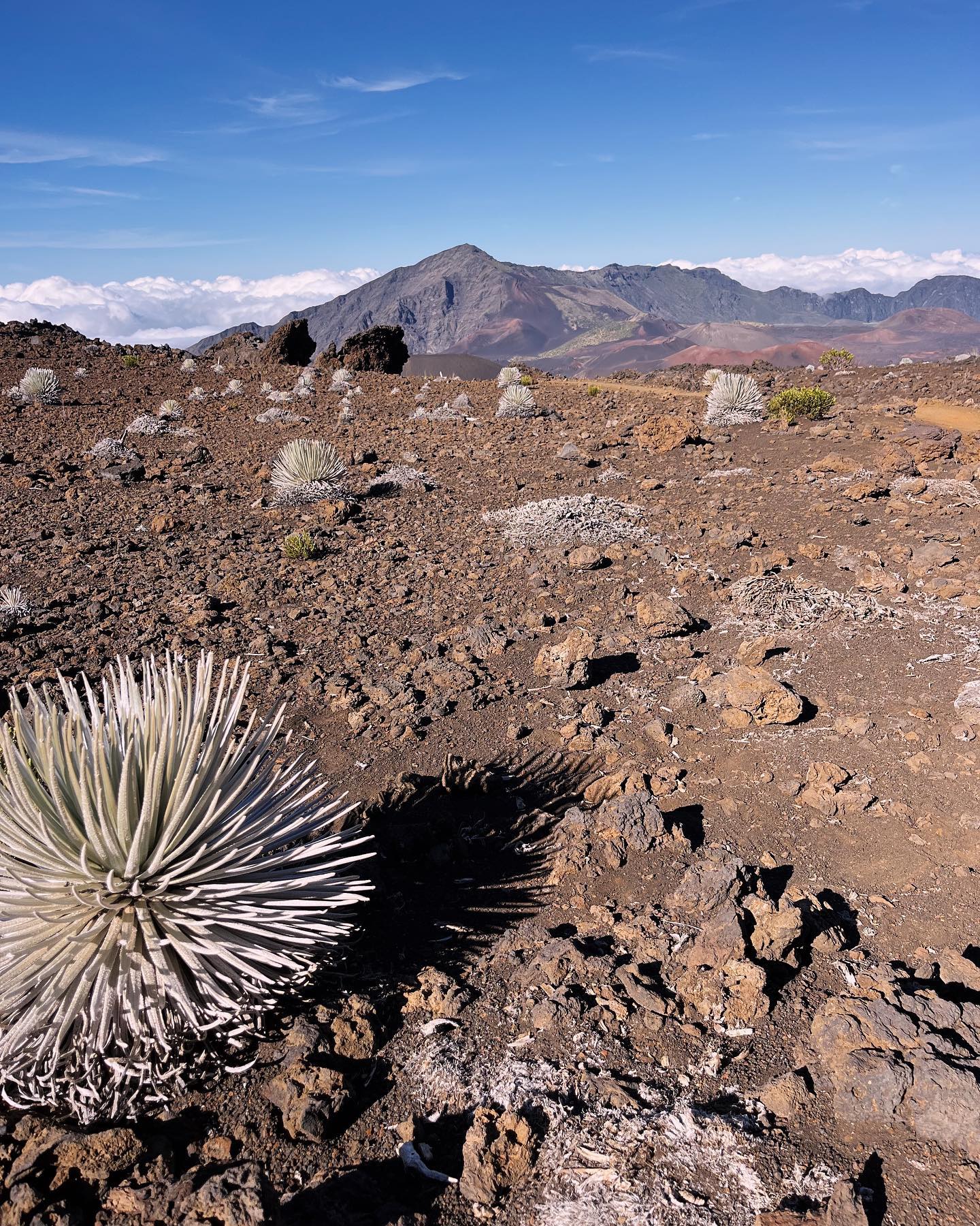 Haleakalā view